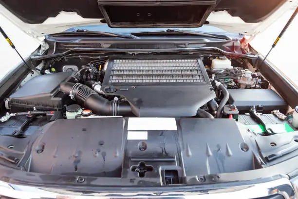 Toyota Corolla Oil Filter