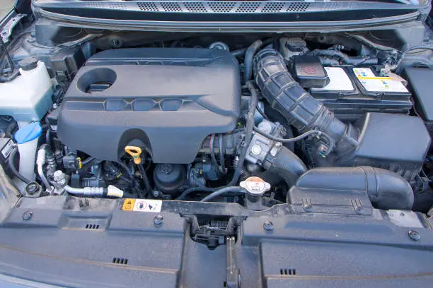 Toyota Corolla Oil Filter