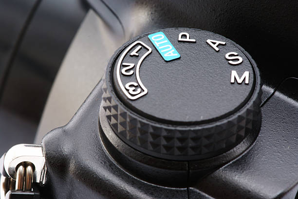 Transmission Fluid Check Near Me